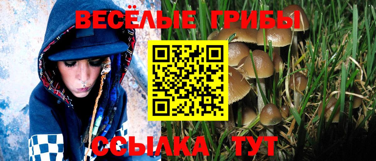 Псилоцибиновые грибы прущие грибы Конаково