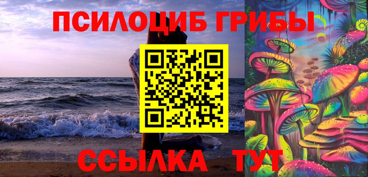 Галлюциногенные грибы Magic Shrooms  Вход с VPN  купить  цена  Конаково 